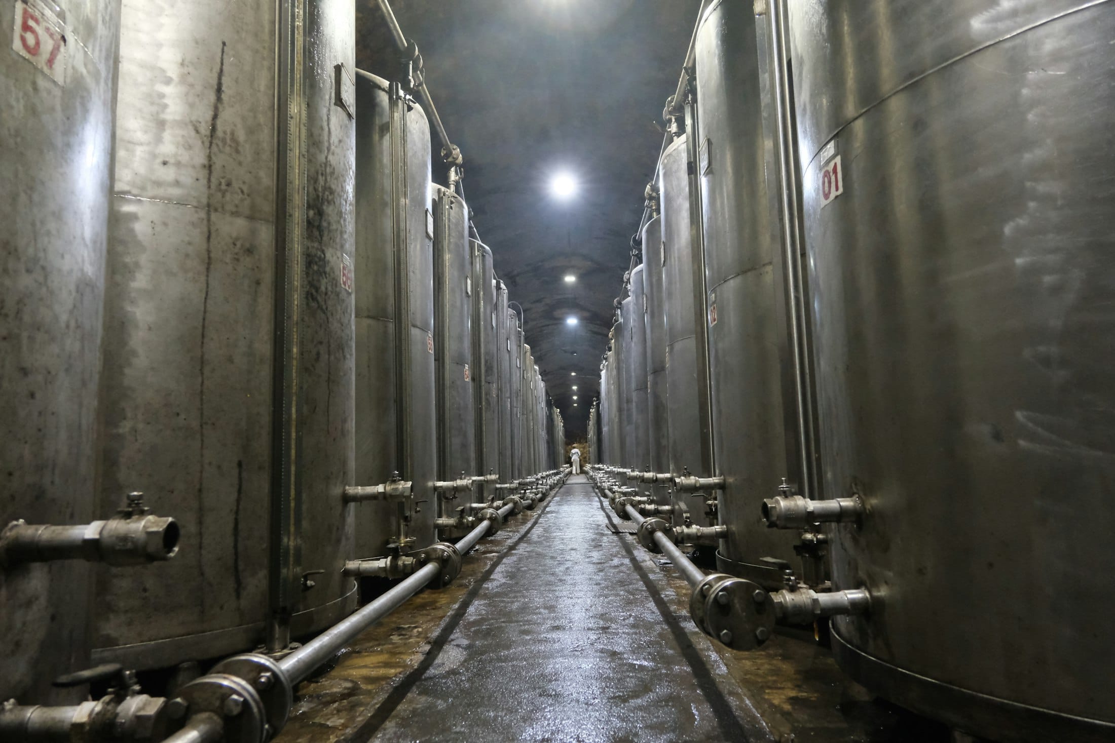 Stainless steel fermentation tanks in a brewery hall